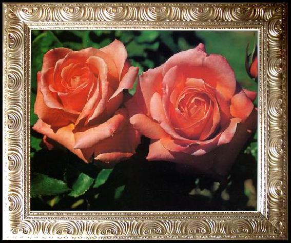 framed  unknow artist Still life floral, all kinds of reality flowers oil painting  395, Ta3150